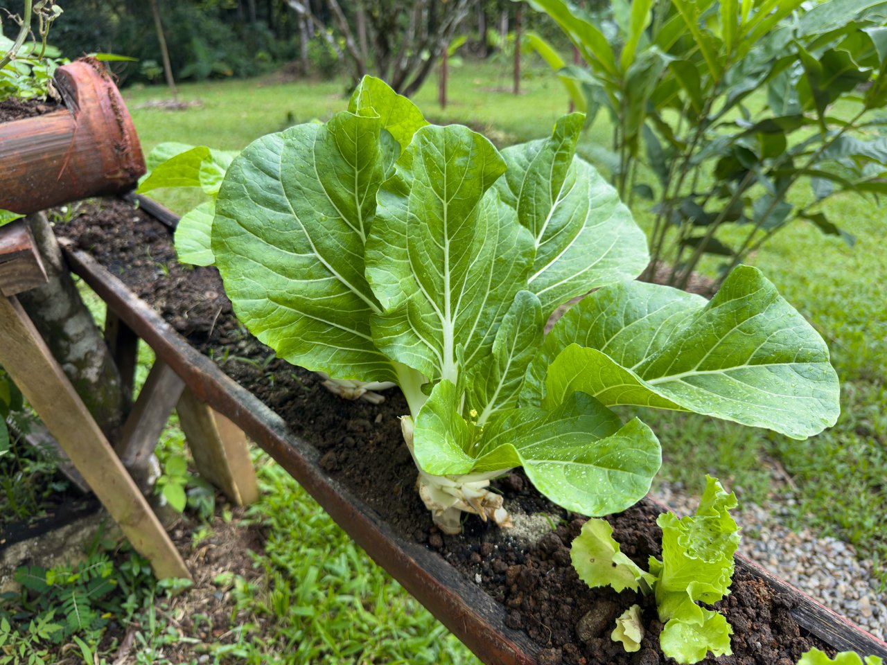 Baru, 2 bdrm home + studio casita Diamonte waterfall view