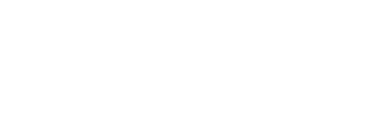 Light Logo