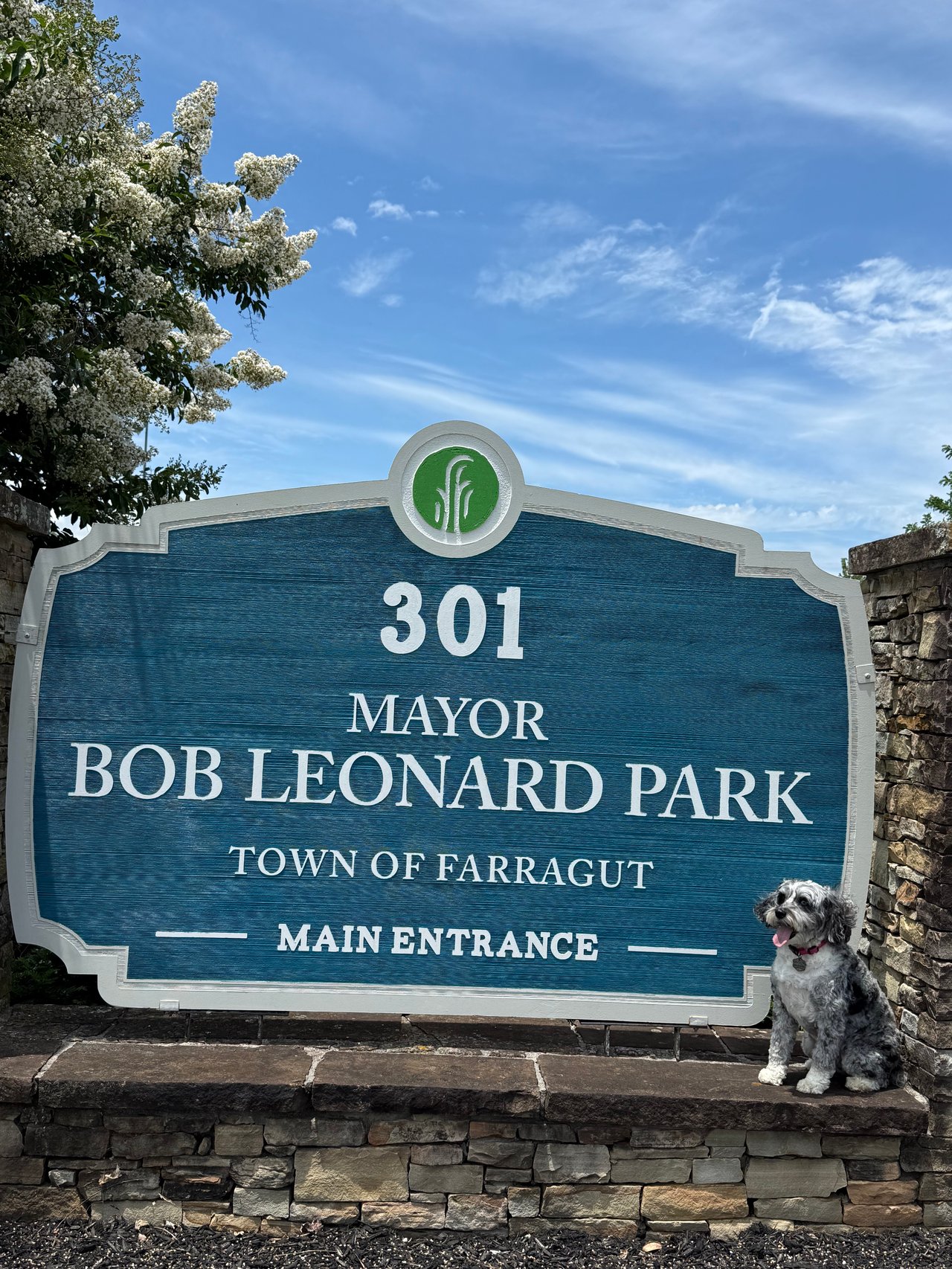 Molly's Favorite Farragut Parks