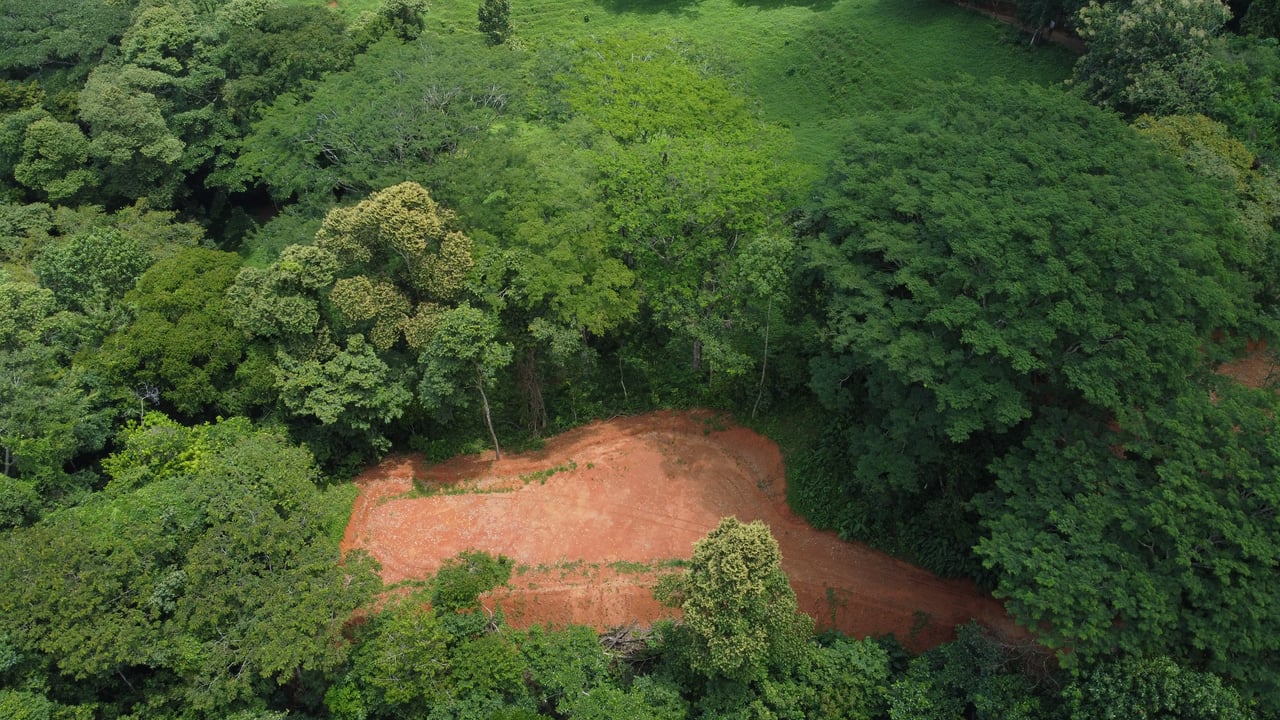 Jungle Oasis with River Frontage Near Dominical – 5.2 Acres of Pure Nature