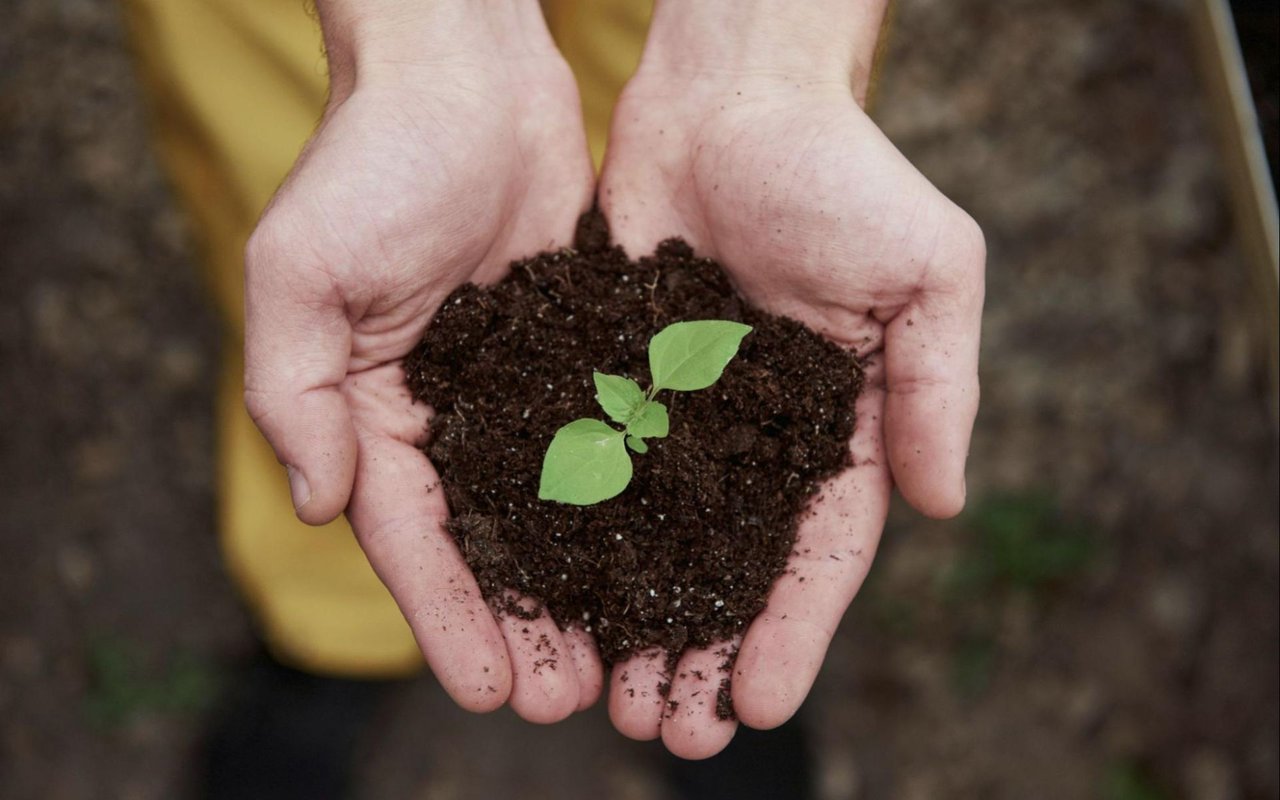 Top 6 Ways to Incorporate Sustainable Living at Home