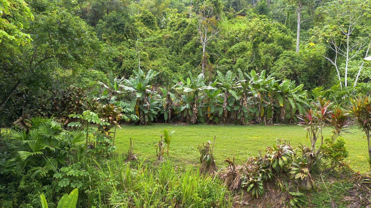 Waterfall Retreat with Casita & Build-Ready Lot in Cascada Azul, Baru