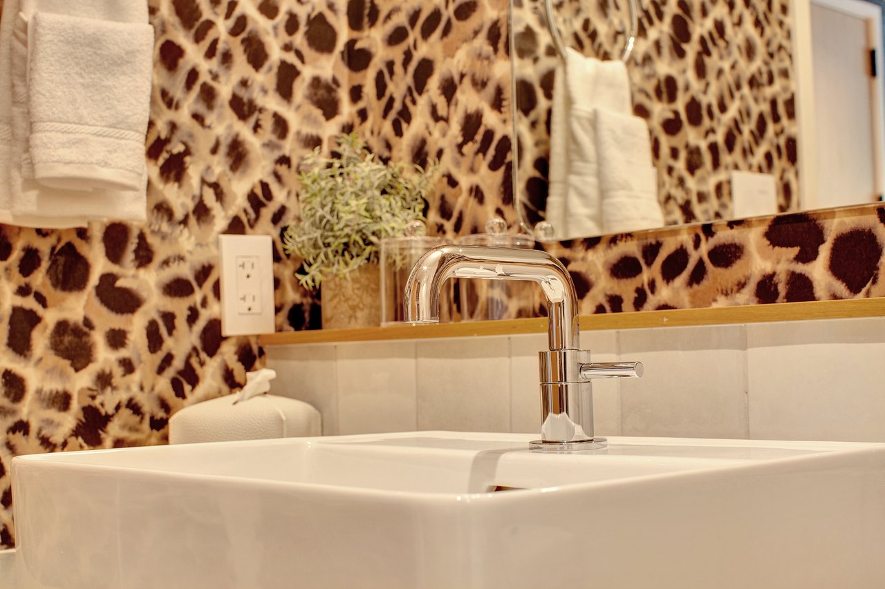 Modern Snowmass Retreat