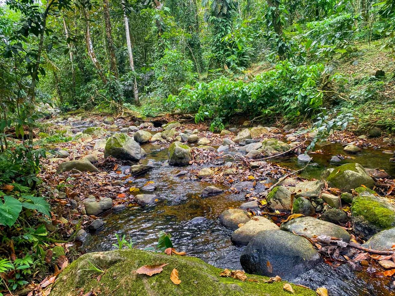 3-Bed Home on Calle Principal Ojochal with River & Jungle