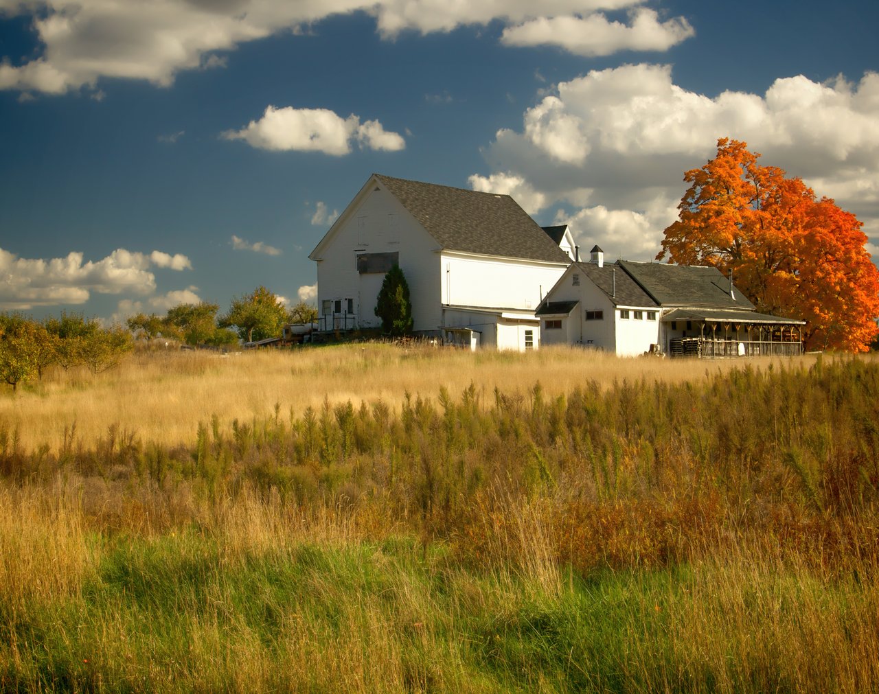 Windham