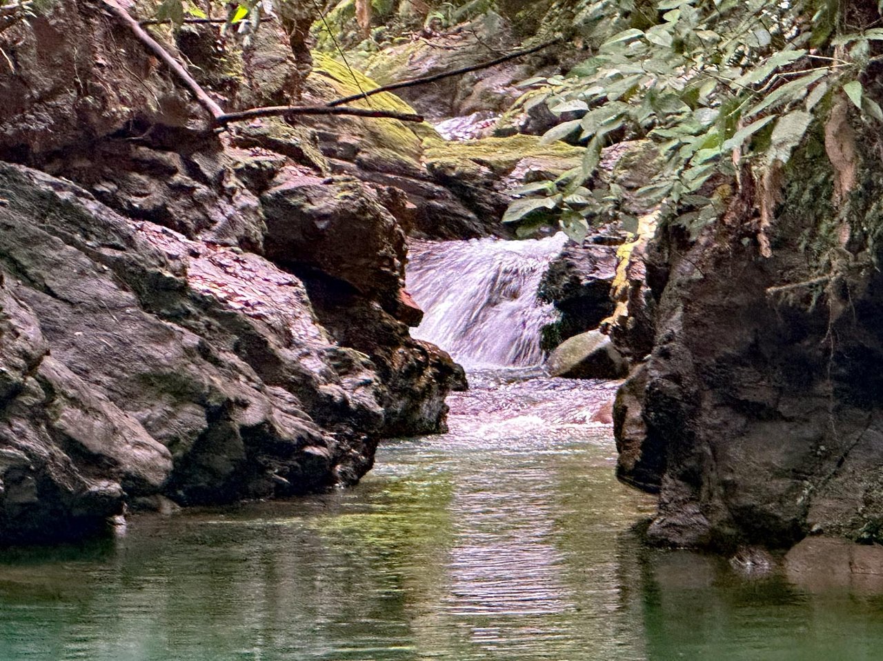 Jungle Home with Riverfront and Orchard in Ojochal Costa Rica
