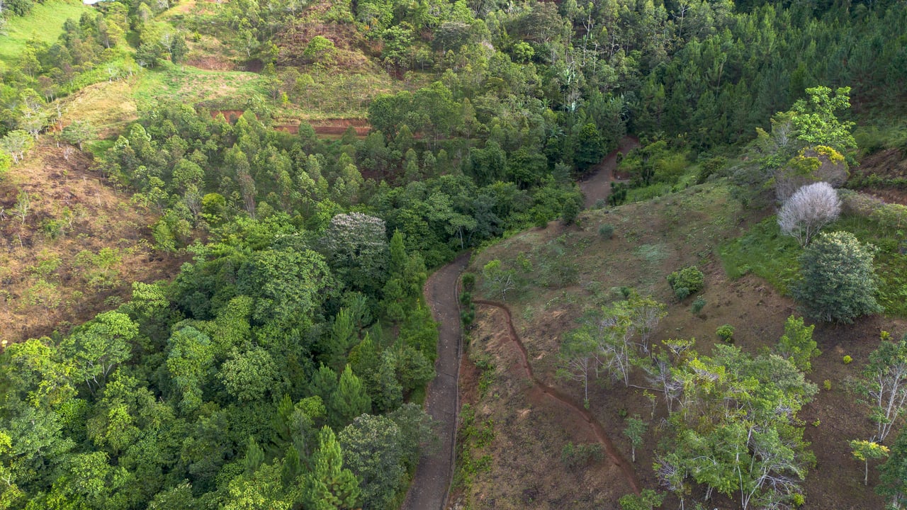 10.21 Acres with Views & Plantels – Pérez Zeledón
