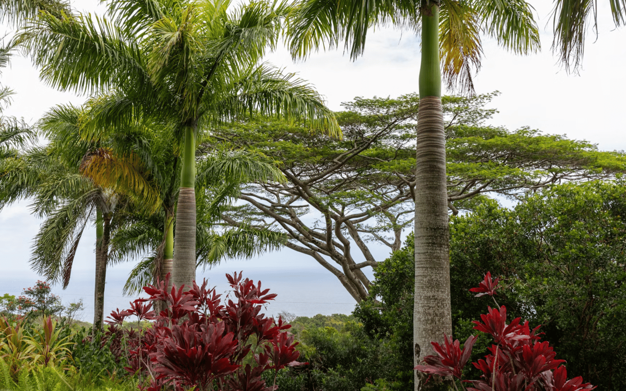 The Role of Landscaping in Boosting Your Home's Aesthetic Appeal