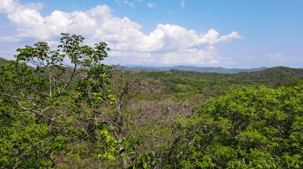 Casa Valle Verde - Senderos - Tamarindo