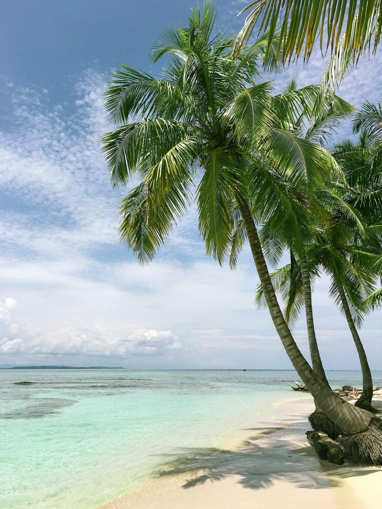 Seacrest Beach Homes for Sale & Neighborhood Guide