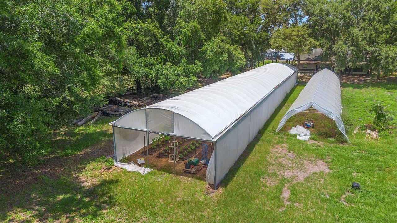 Dirty Dog Farm, Leesburg FL