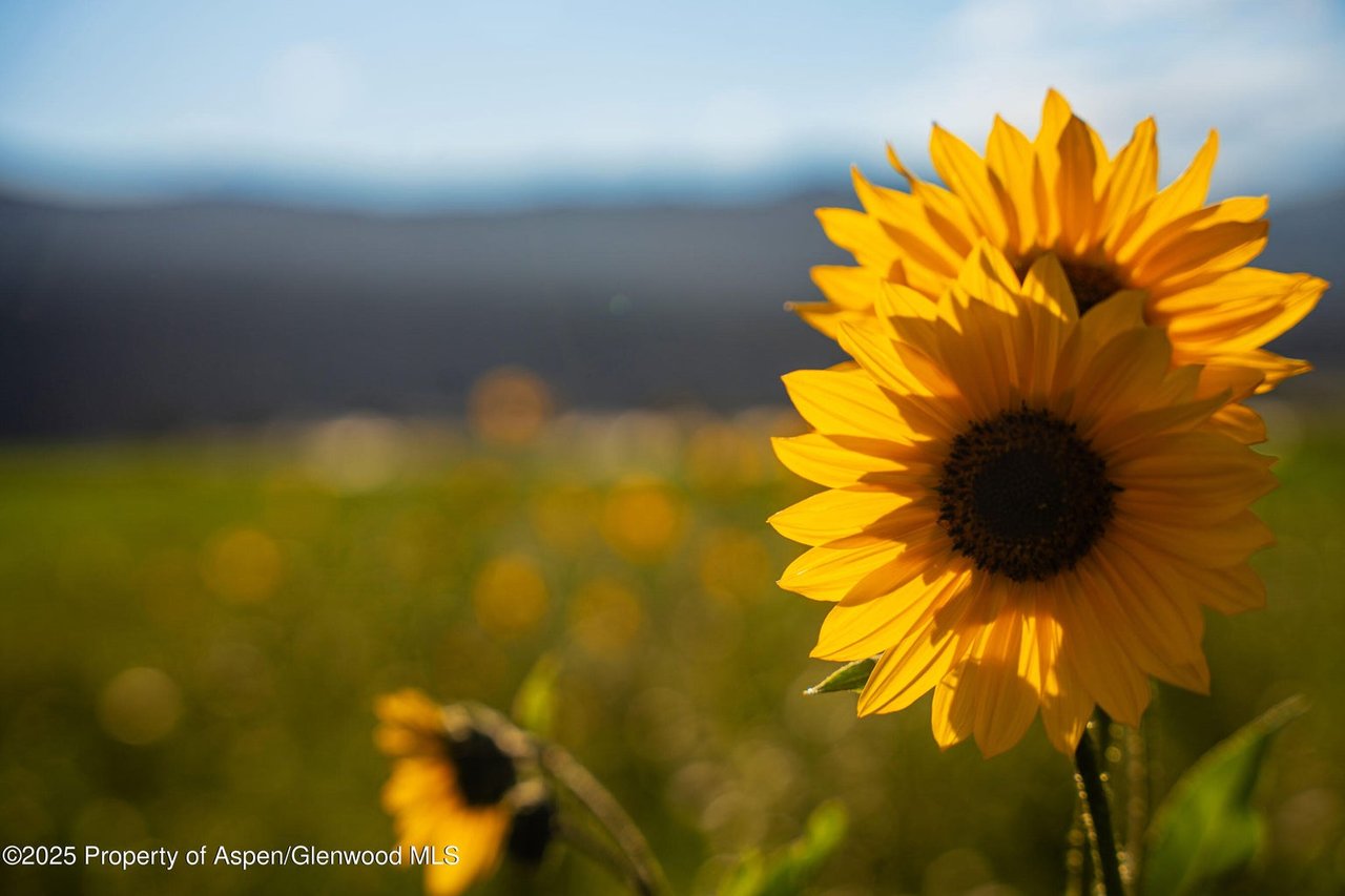 1644 Prince Creek Road