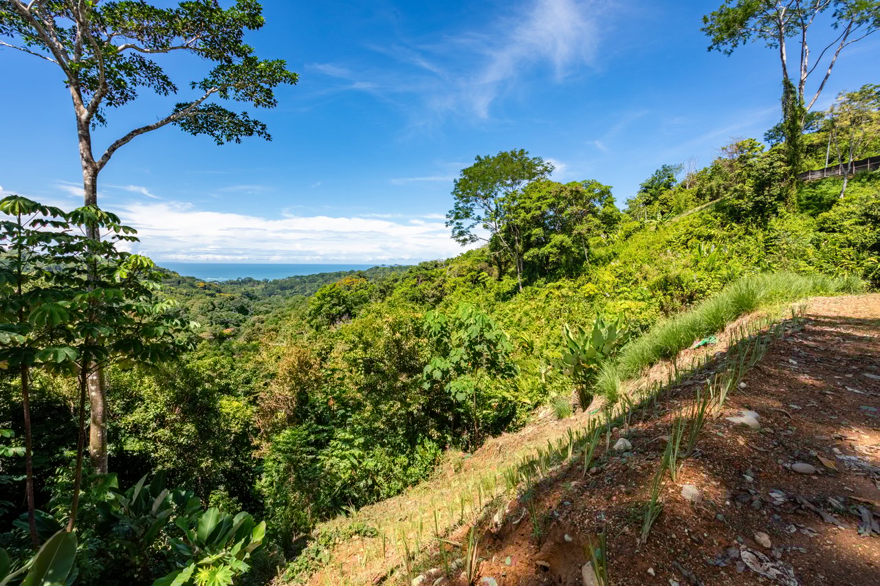 Private 5-acre Riverfront Property with Ocean & Mountain Views | San Josecito