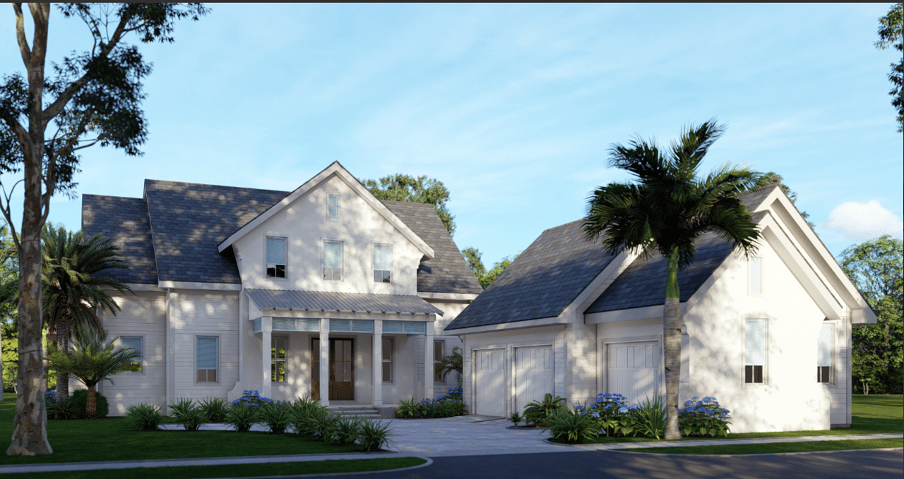 The Whistling Palm