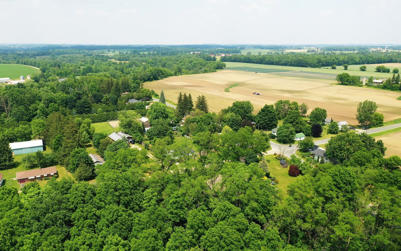 Holland township