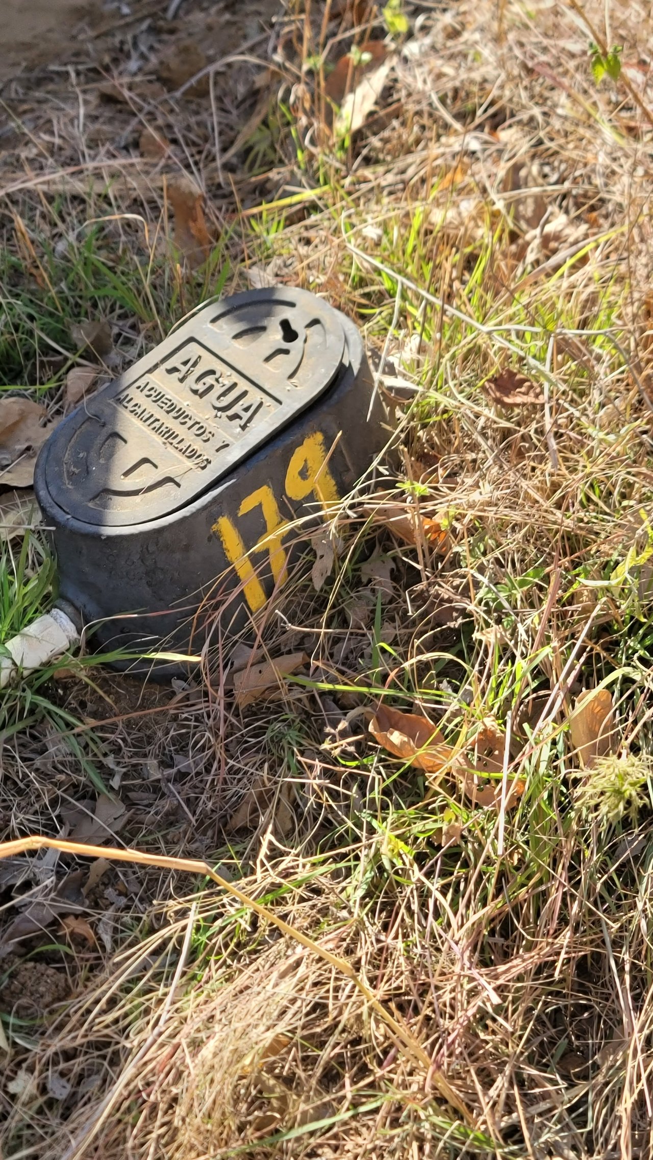 Vista Miramar Estate Lot, Pacific Heights