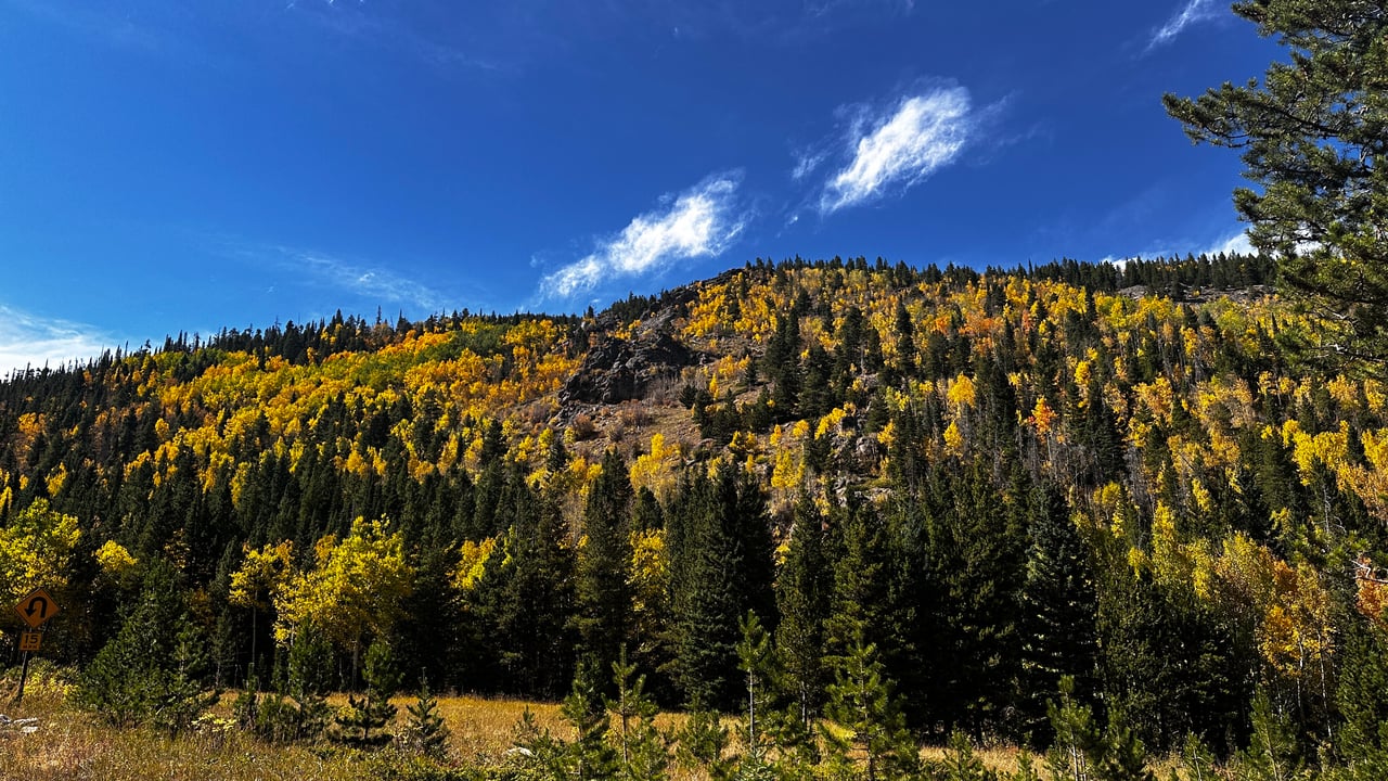 Into the Wild: Discovering Rocky Mountain National Park with Monica
