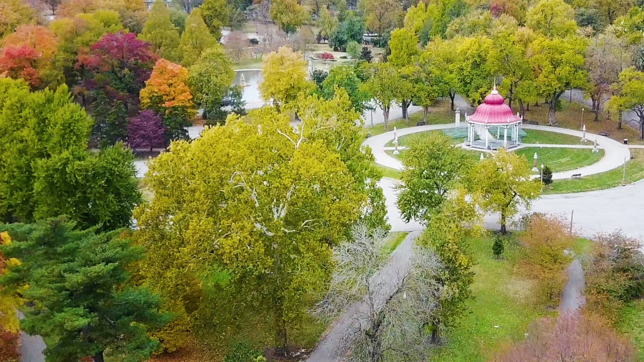 Tower Grove South