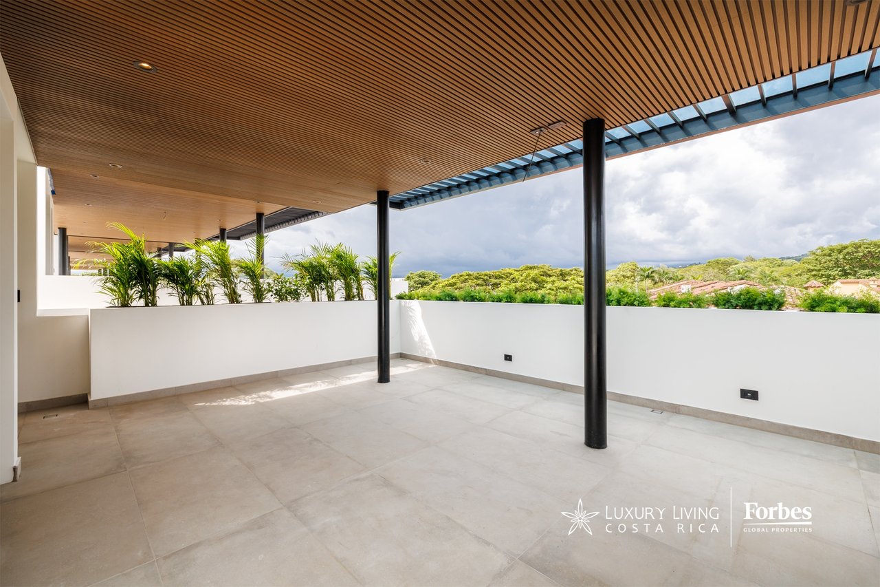 Rooftop terrace with a slatted wood ceiling, palm planters, and views over green treetops.