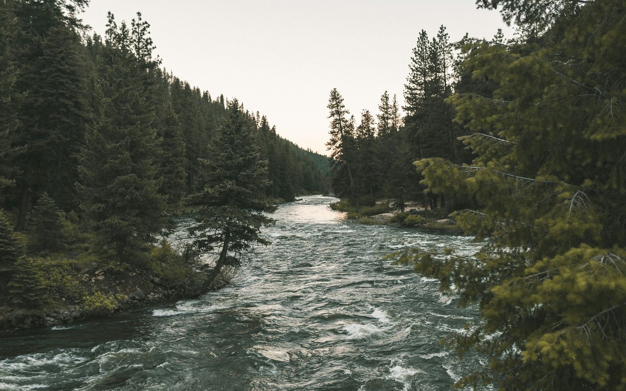 Ridge to Rivers