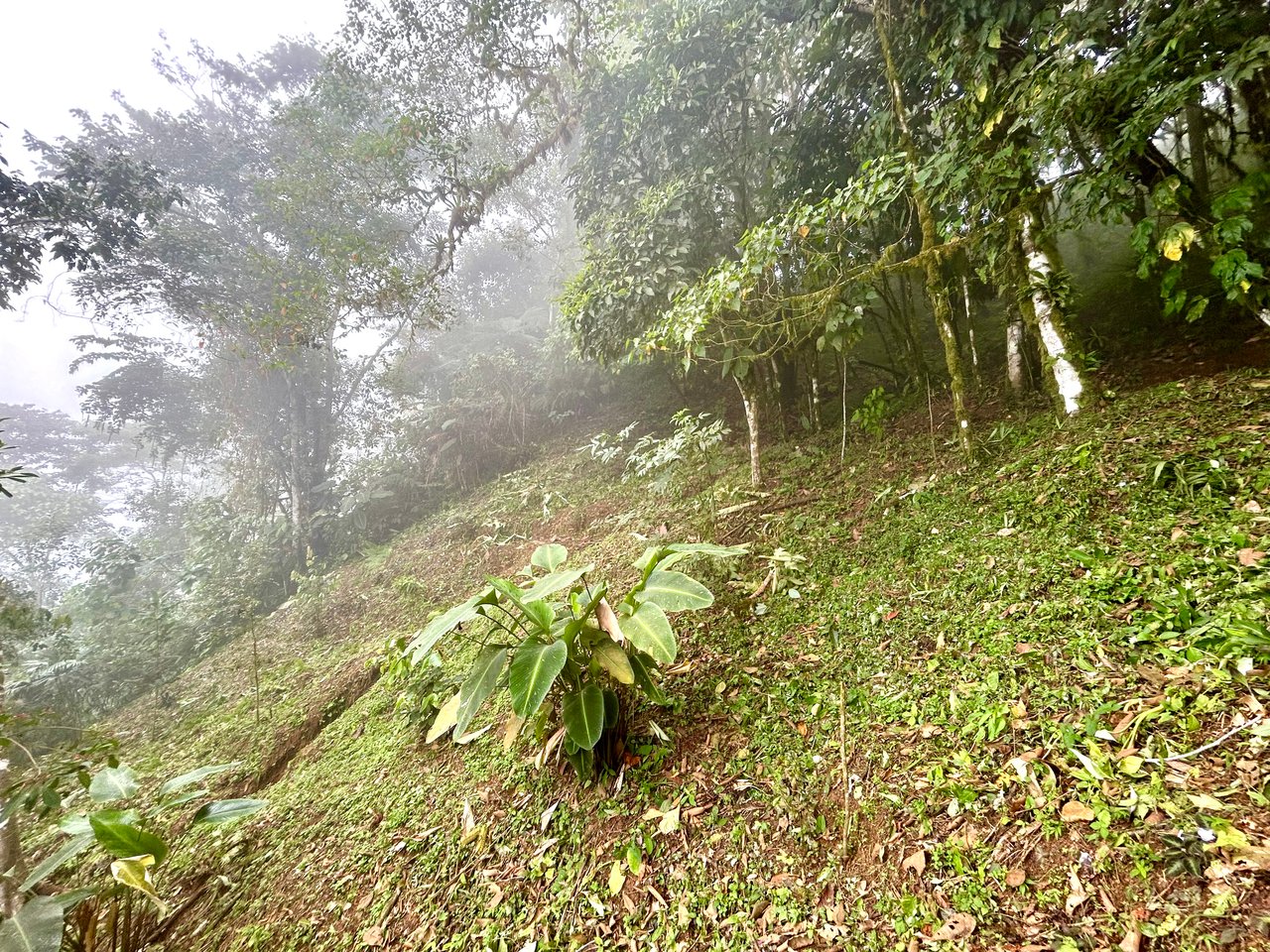 The Last of Its Kind Property in San Luis de Morete, Over 1.53 Acres