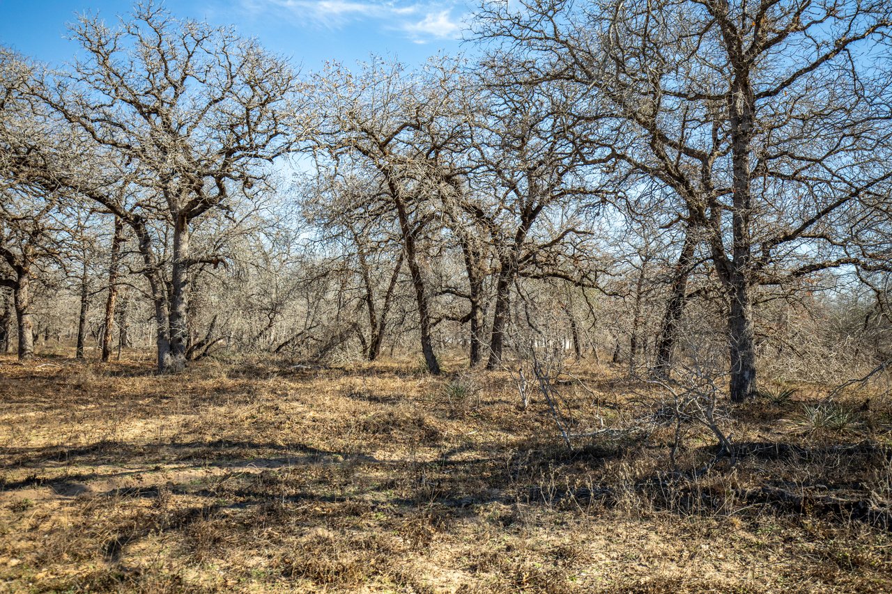 Whispering Pines Floresville Ranch | 298± Acres | Wilson County