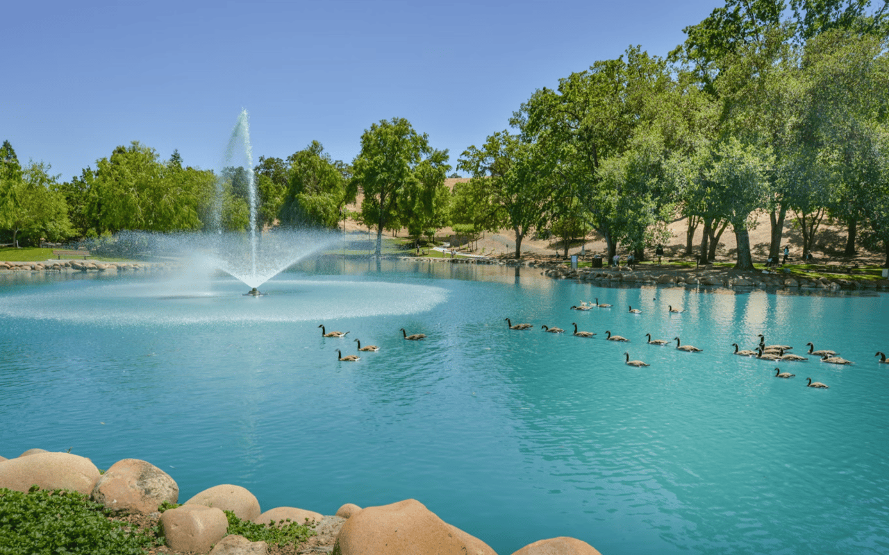 The Best Parks in Danville CA for an Active, Outdoor Lifestyle
