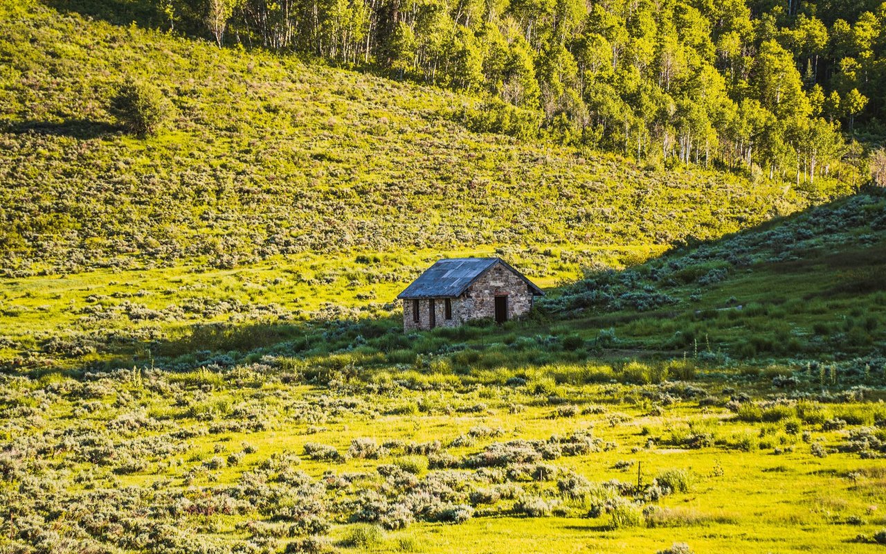 Stone cabin on a grassy hillside below a dense forest in warm sunlight.