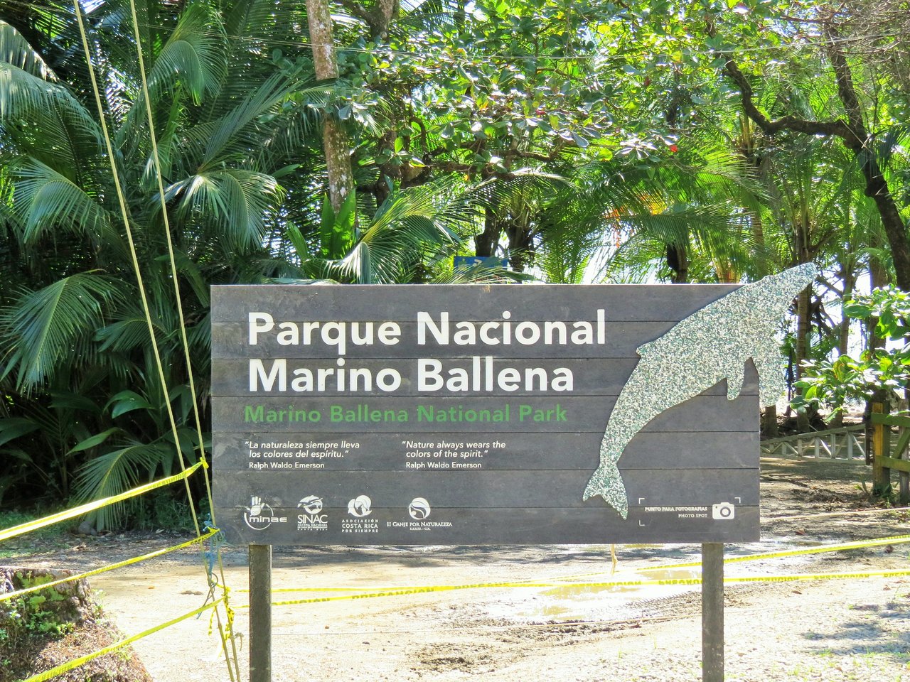 Fully equipped 4 Unit Apartment/Hotel complex 70 meters from the entrance to world-famous Marino Ballena National Park