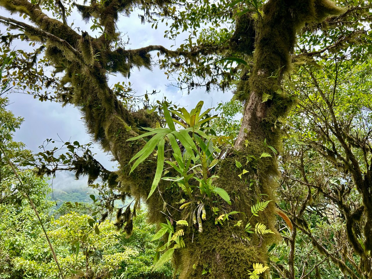 The Last of Its Kind Property in San Luis de Morete, Over 1.53 Acres