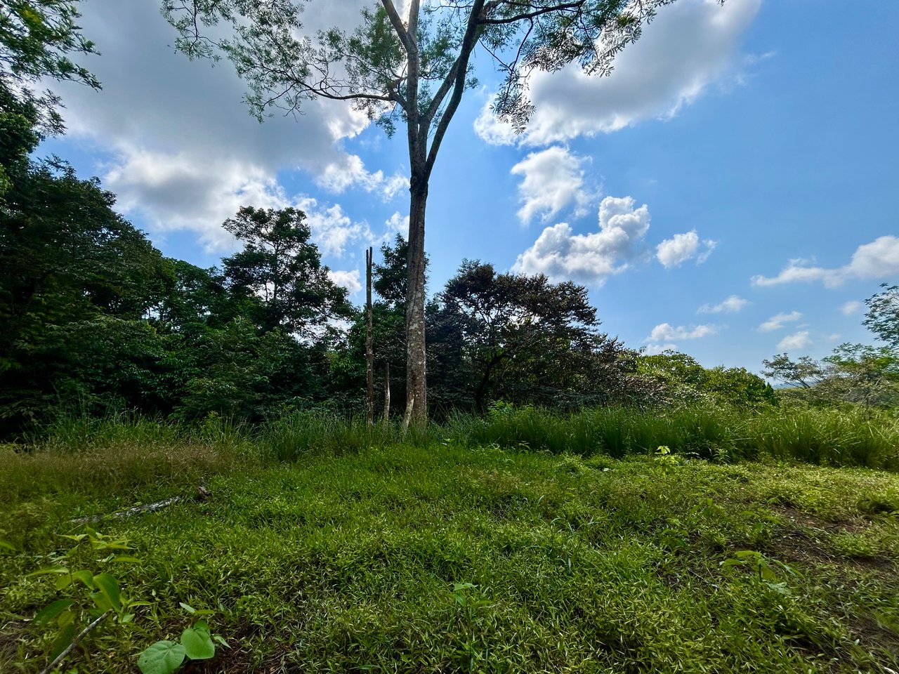 Beautiful Lot in Phase 9 Ojochal, Gated Communuity 