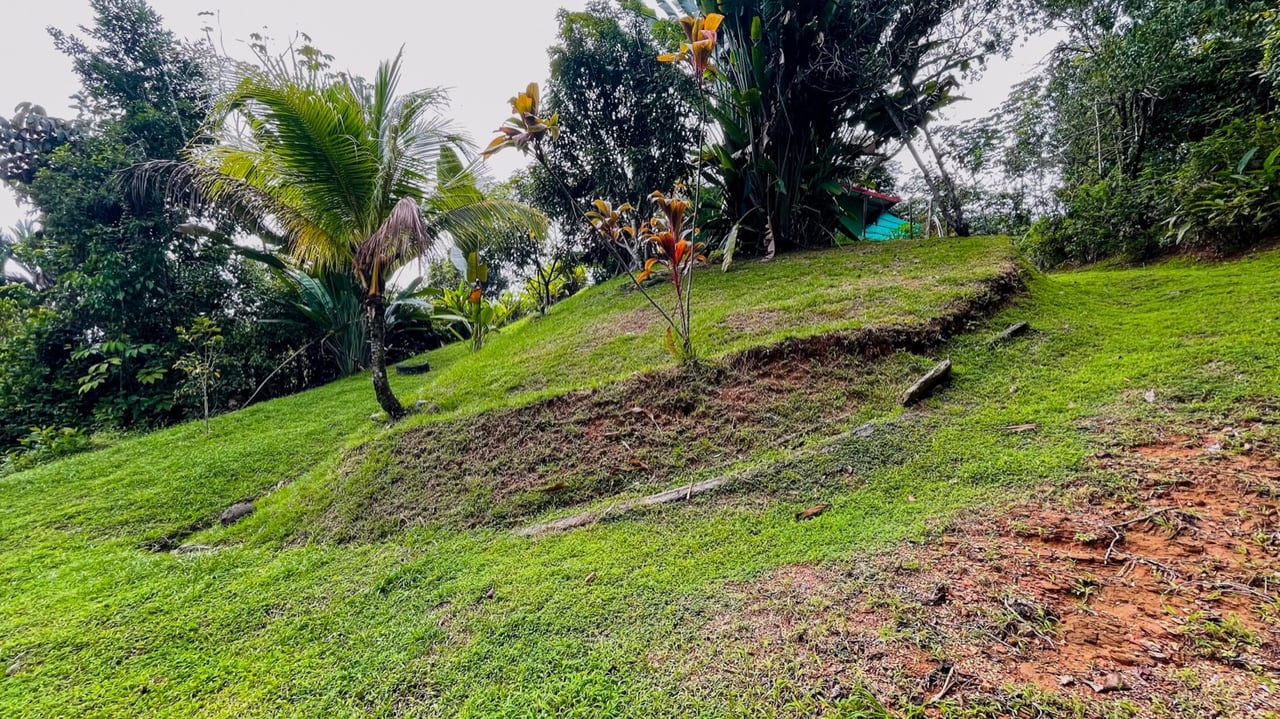 Two Homes on 1.55 Acres with Ocean & Mountain Views – Plus Room to Build!