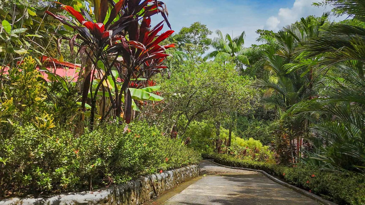 Ojochal Jungle Retreat for Sale with River, Pool, and Income-Generating Casitas