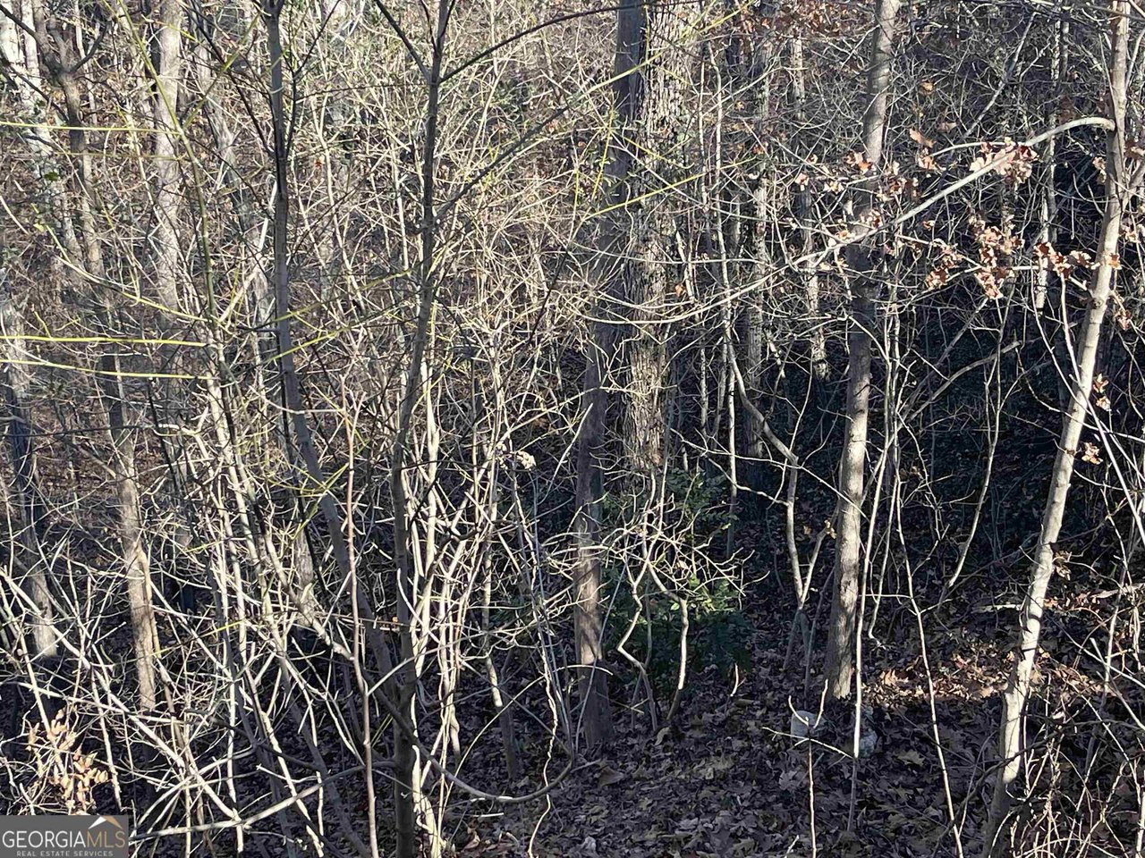 Smyrna