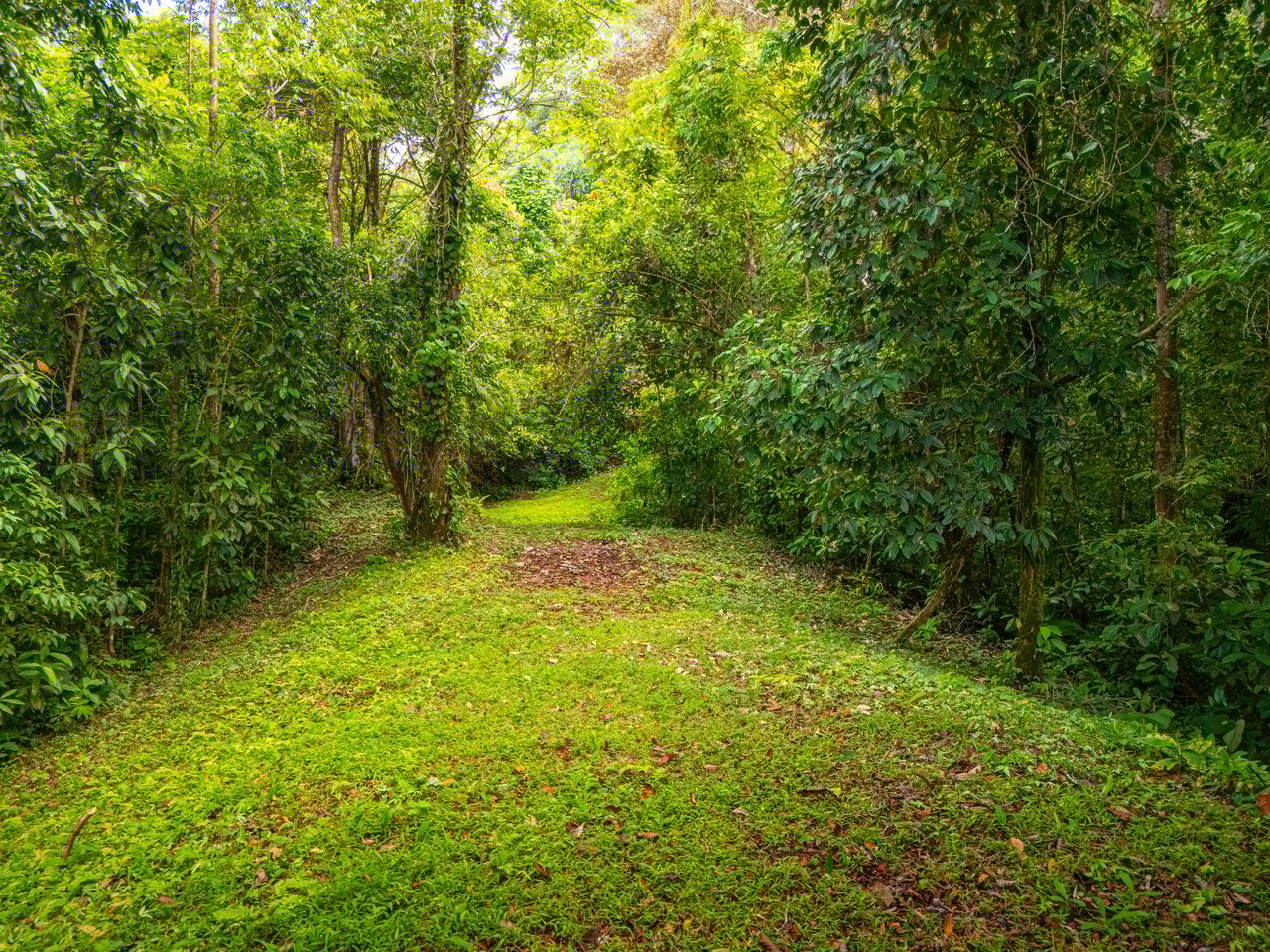 Tropical Paradise in Cascada Sándalo, Tres Ríos Ocean & Mountain Views | Gated Community | Abundant Nature