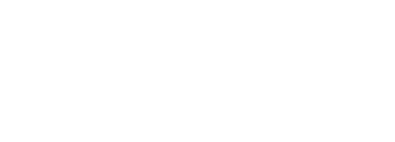 Light Logo