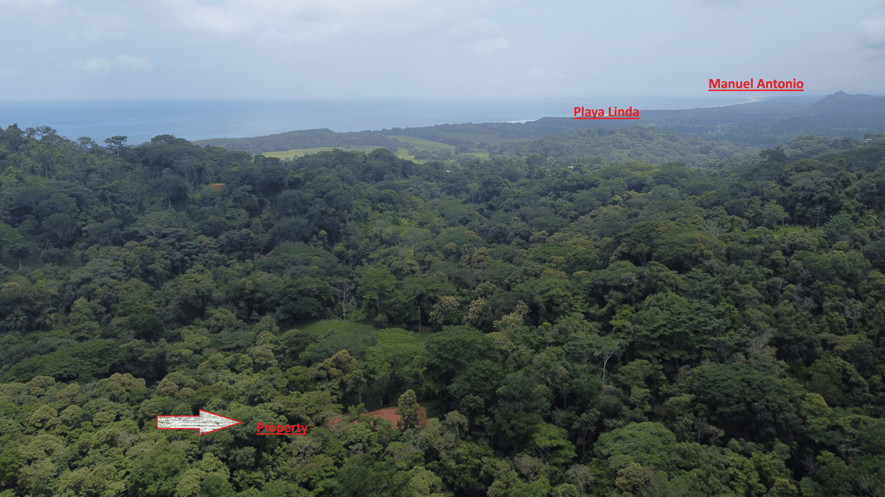 Jungle Oasis with River Frontage Near Dominical – 5.2 Acres of Pure Nature