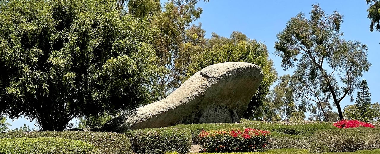 Turtle Rock Campus View