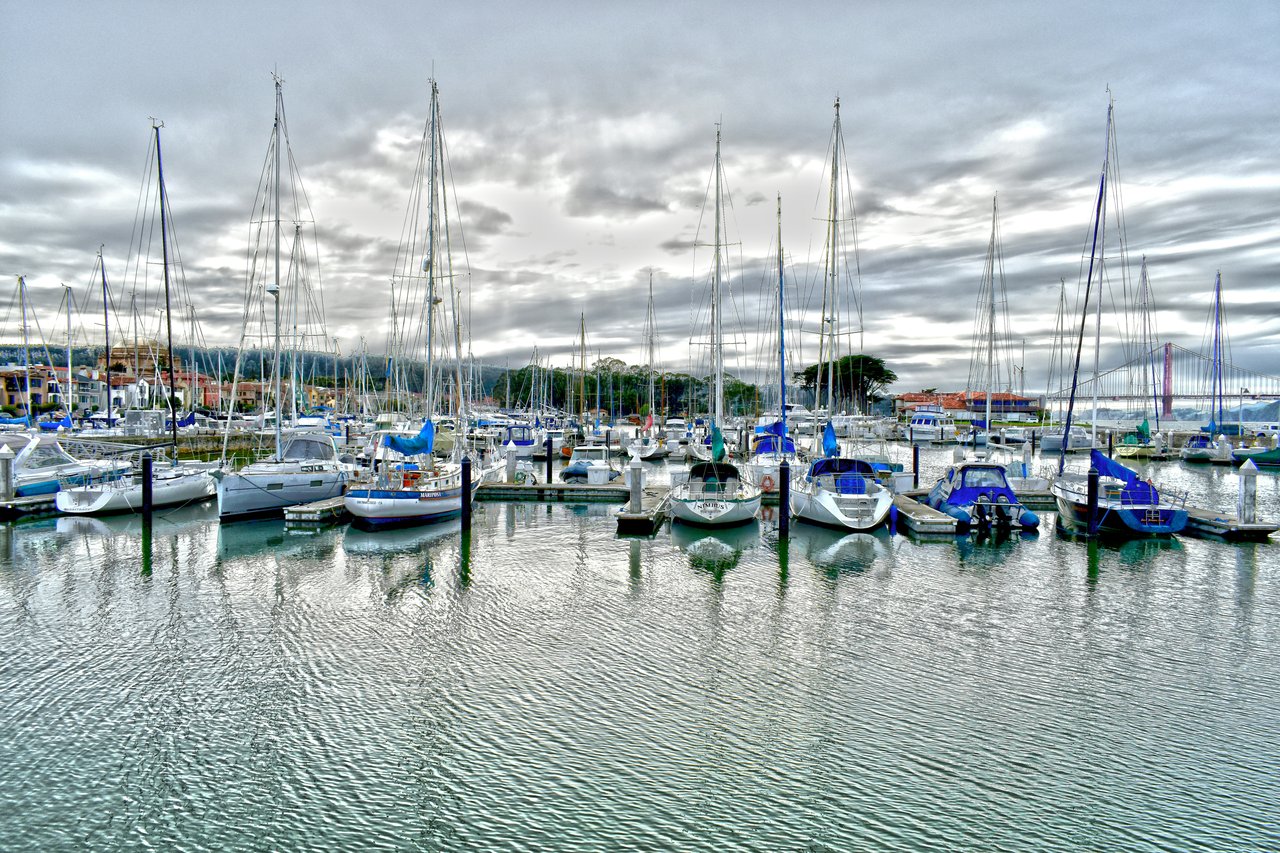 Who Is the Best Realtor in San Francisco’s Marina District? Here’s Why Clients Choose Monica Pauli