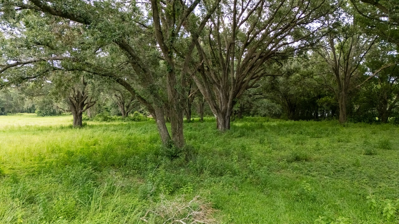 0 FORBES RD