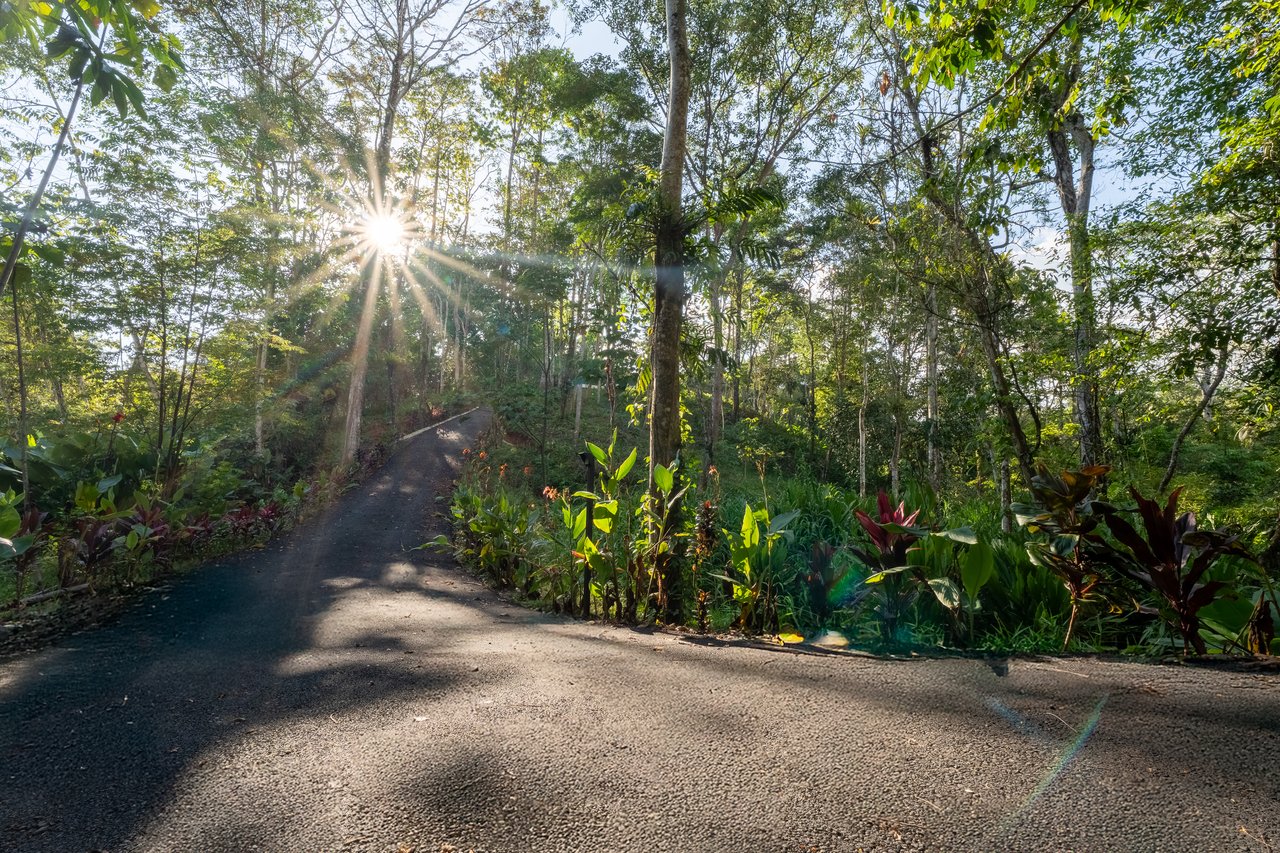 Casa Escondida, Contemporary Villa with Guest Suite