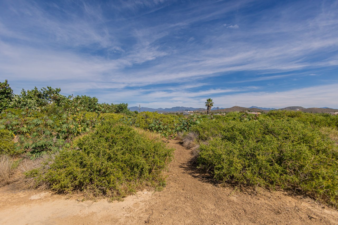 Costa del Pacifico Beachfront