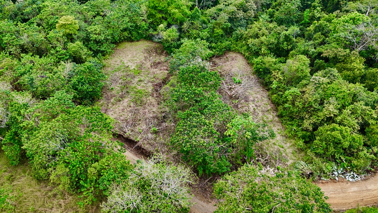 Ocean View Lot in San Buenas, Only $90K & Ready To Build