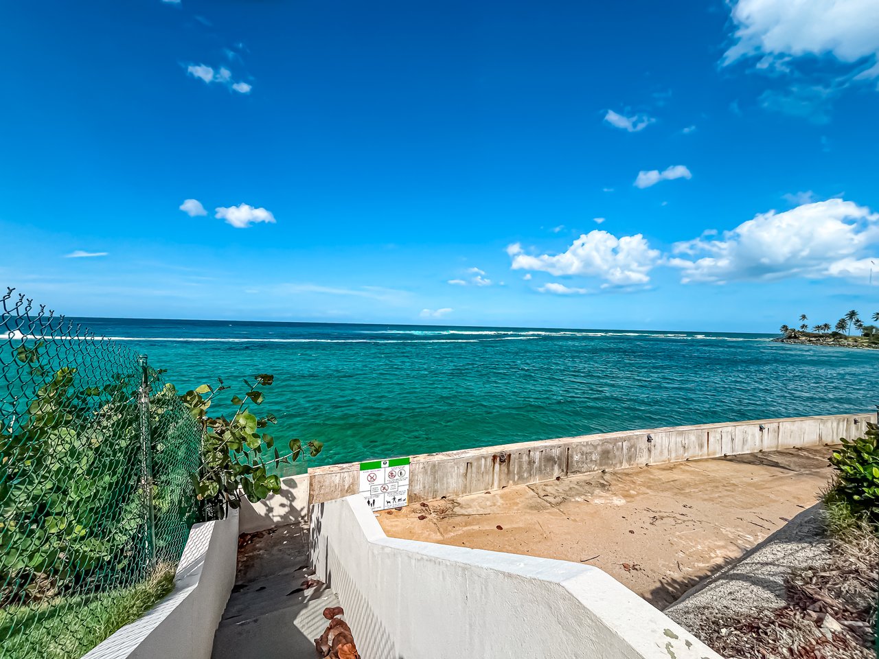 Dorado Reef C10