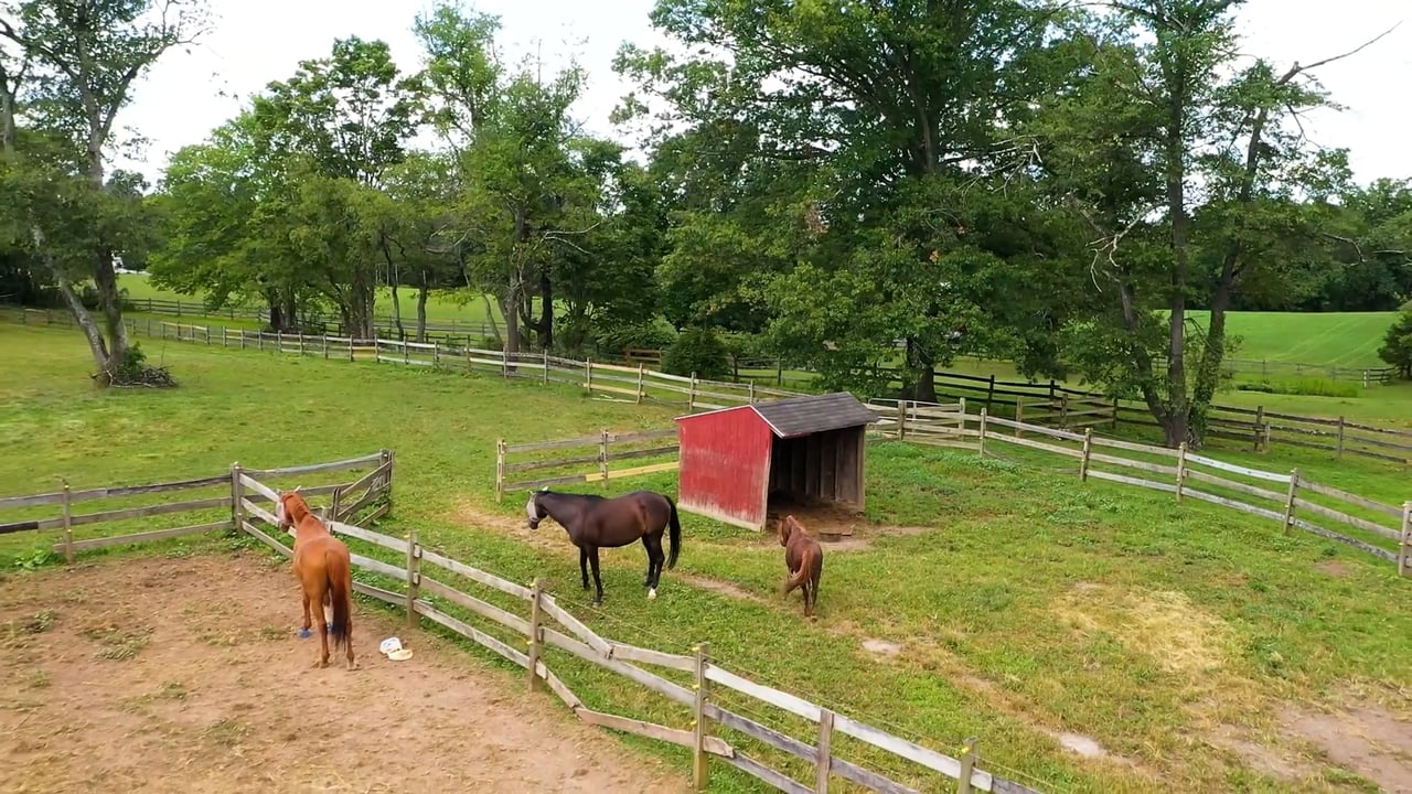 158 Rosemont Ringoes Road, Stockton, NJ 08559 - Single Family - Real Estate