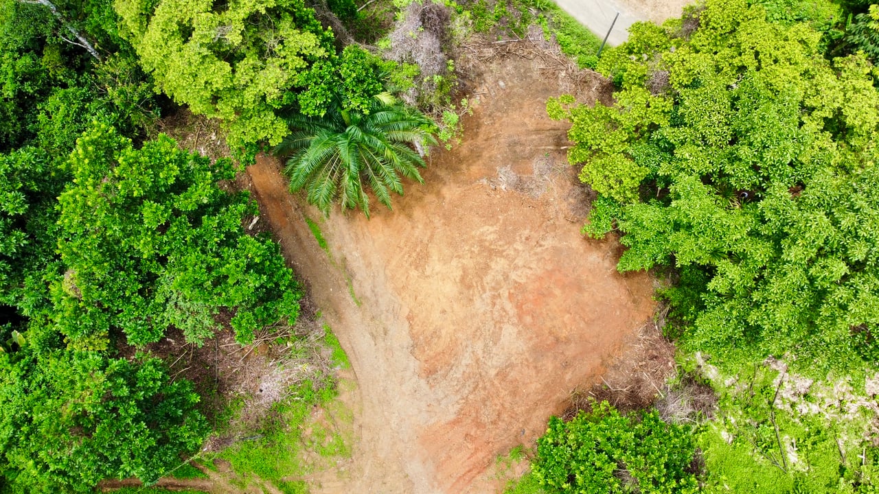 Ready-to-Build Land in San Antonio de Damas: 2,6-Acre with Terraces & Road Frontage