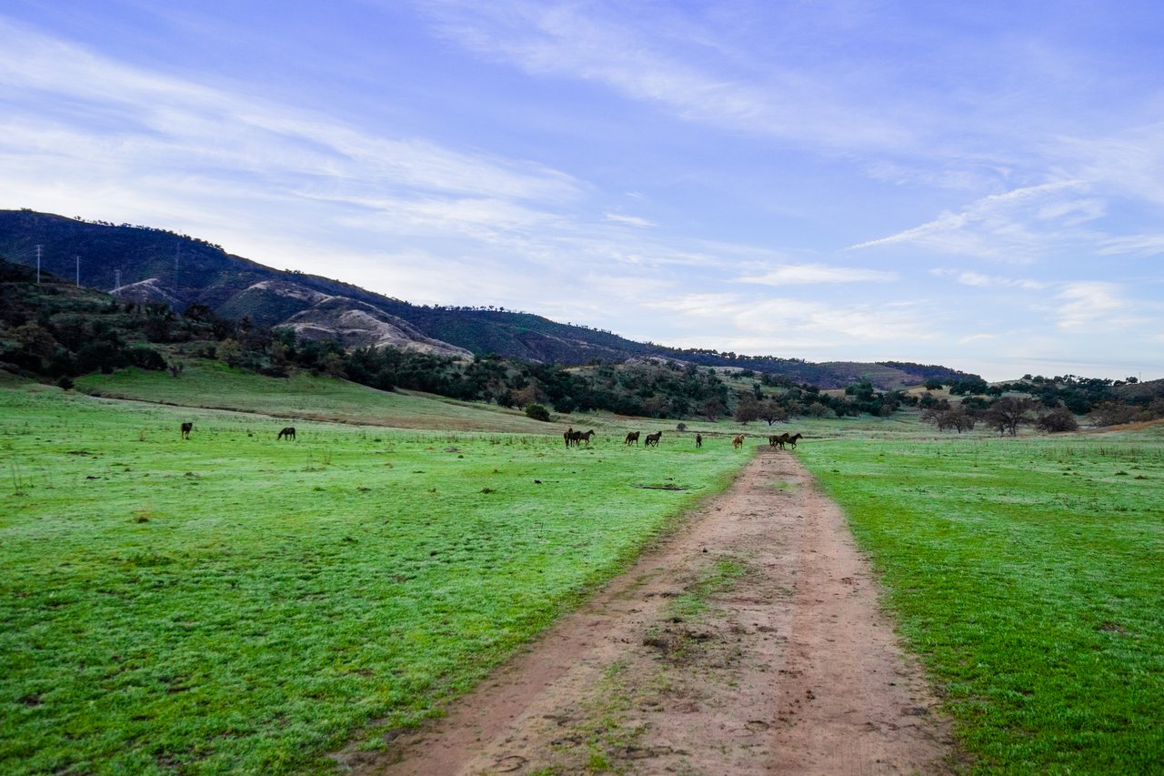 Lion Mountain Ranch 940+/- Acre Ojai Ranch 