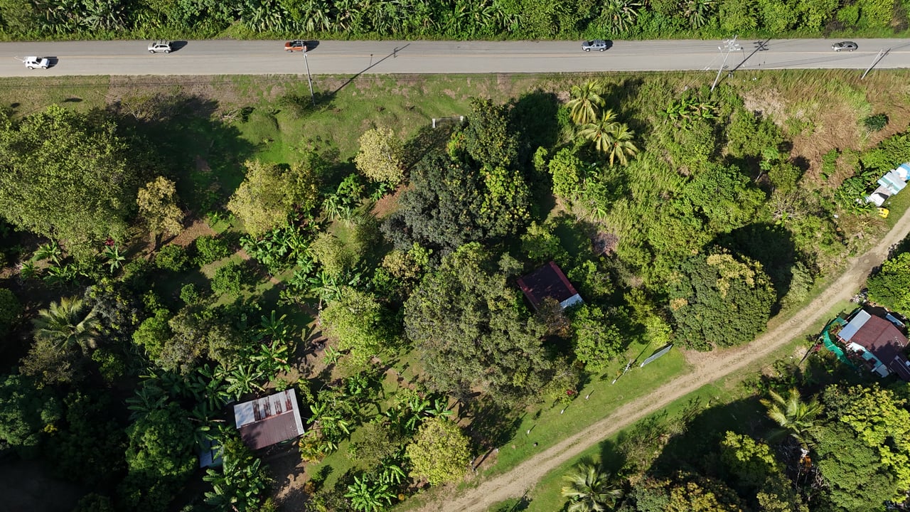 Commercial & Residential Property in Punta Mala with Producing Fruit Trees