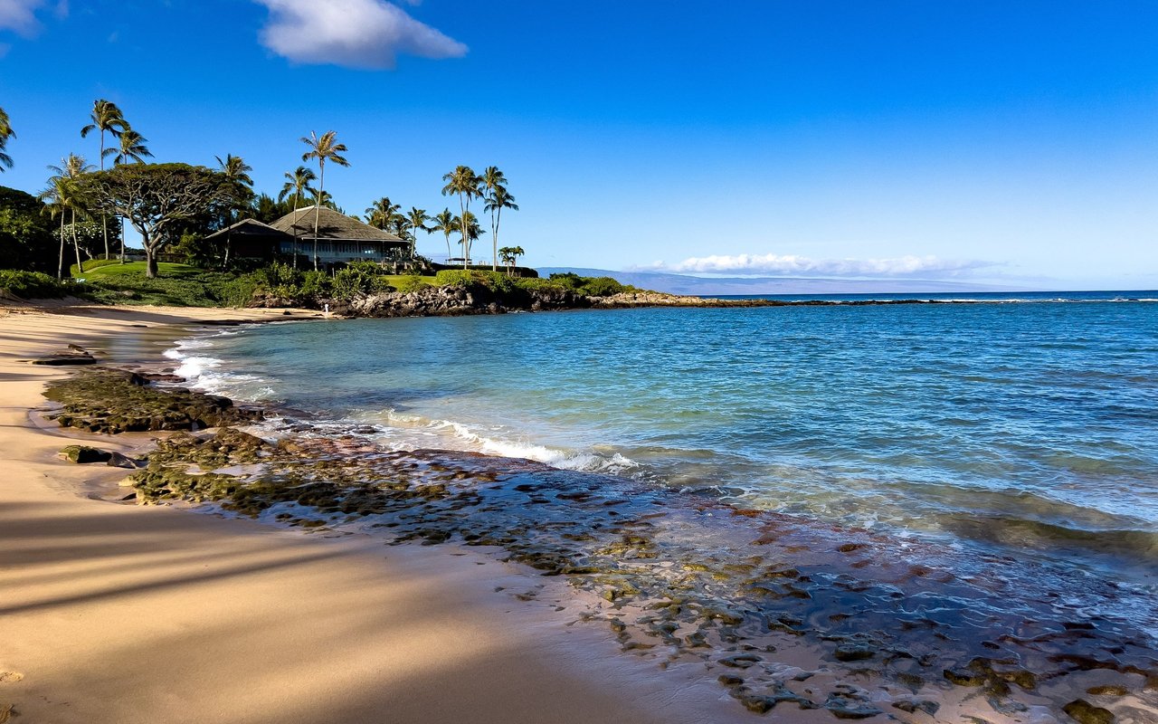 Turtle Bay