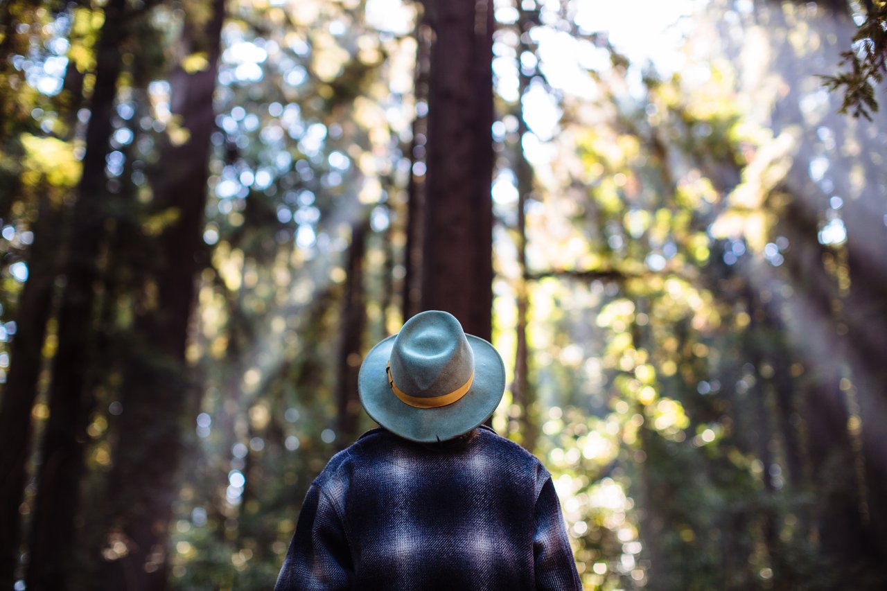 Person in a wide-brimmed hat standing among sunlit forest trees